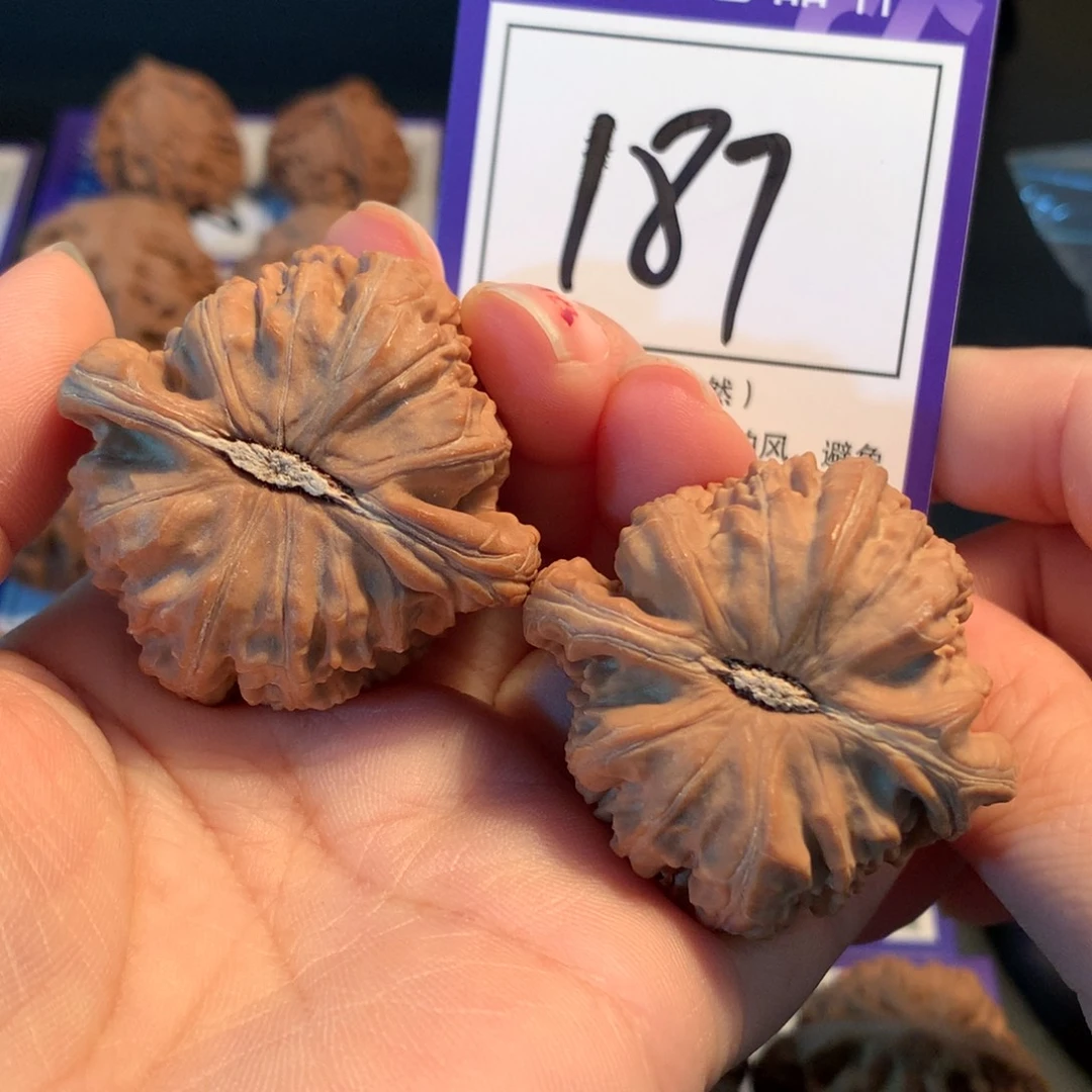 把件文玩核桃187白狮子4.3
