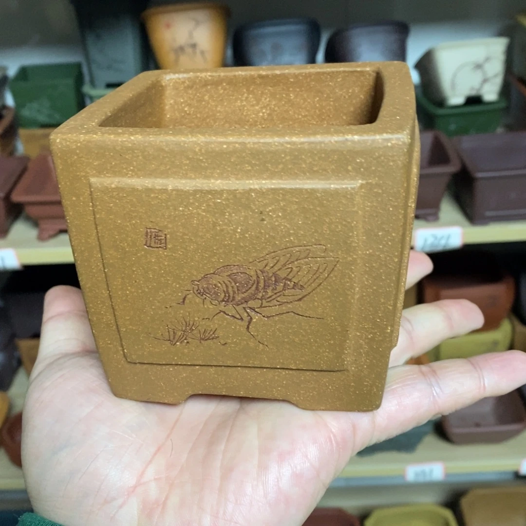 花盆紫砂紫砂文化