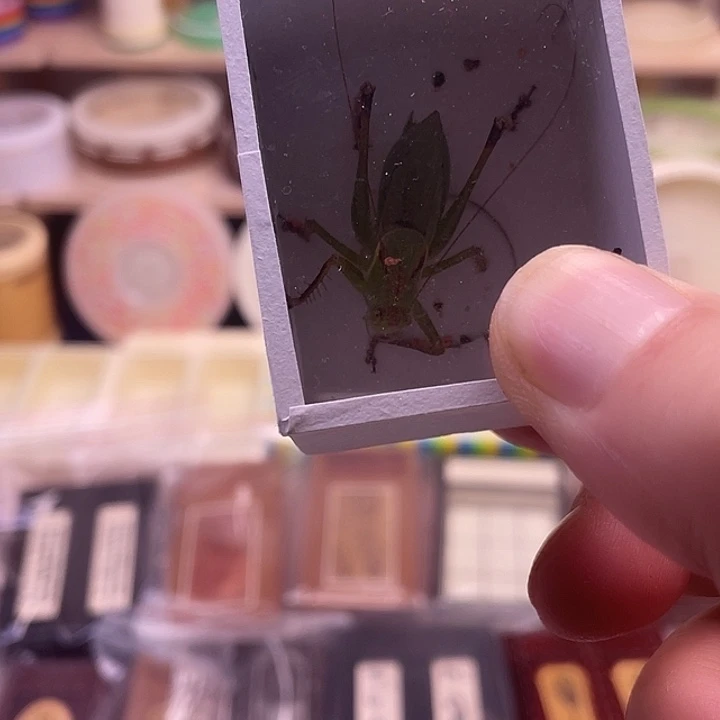 深***年油葫芦3啊啊啊啊啊啊啊啊啊啊