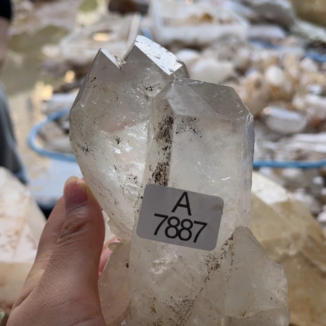【闪购商品】未镶嵌水晶大型摆件（非配饰）