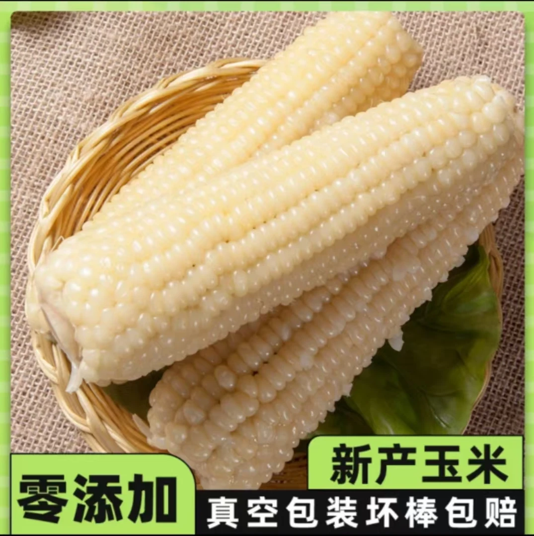 【免费试吃两根】香甜嫩白糯玉米优质玉米代餐减脂到手8-10根5-6斤