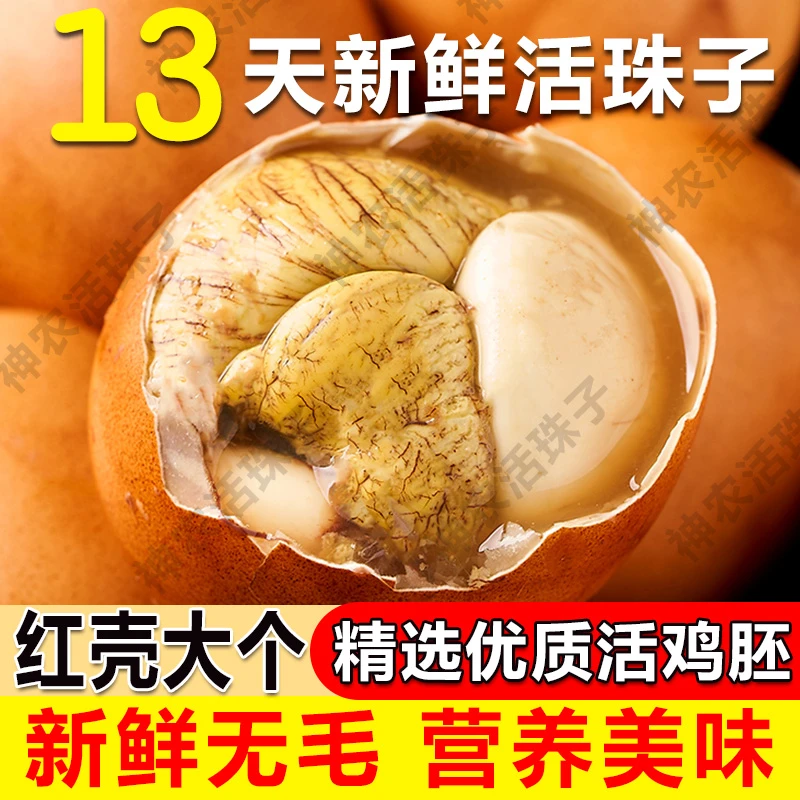 13天新鲜大个特大五香味香辣味活珠子鸡胚蛋钢化蛋烧烤无毛非毛蛋
