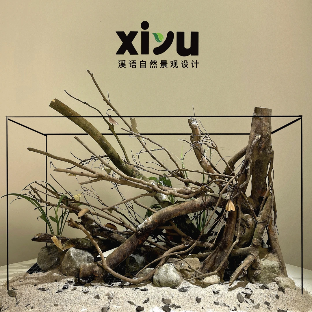 70.30.35造景（适用常规玻璃厚度，不包含植物和底沙）
