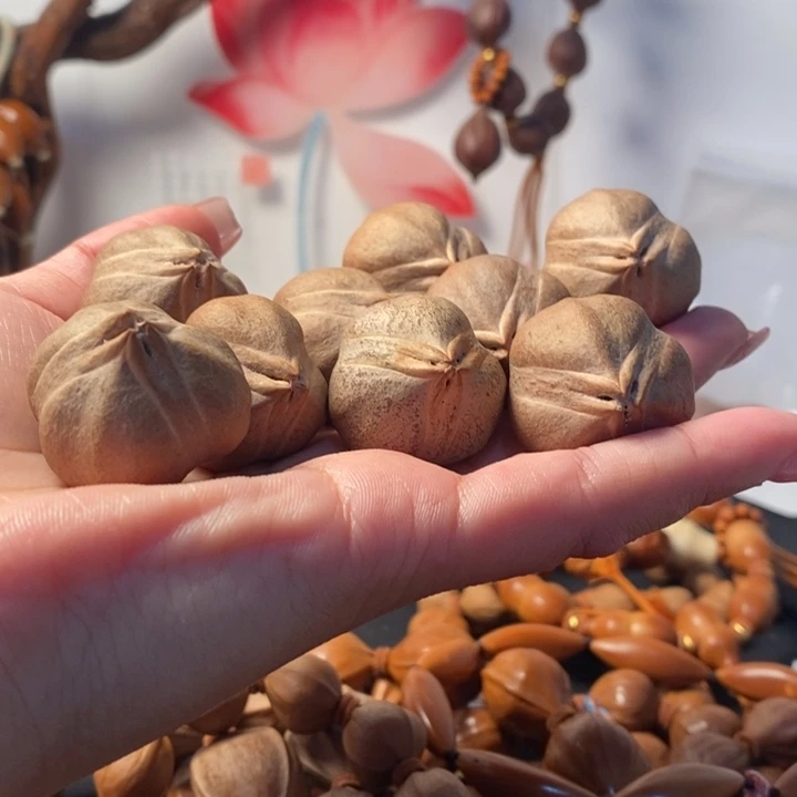 橄榄核手串/手链2.8愤怒小鸟