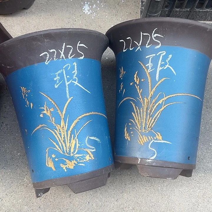 周深周深周深周深