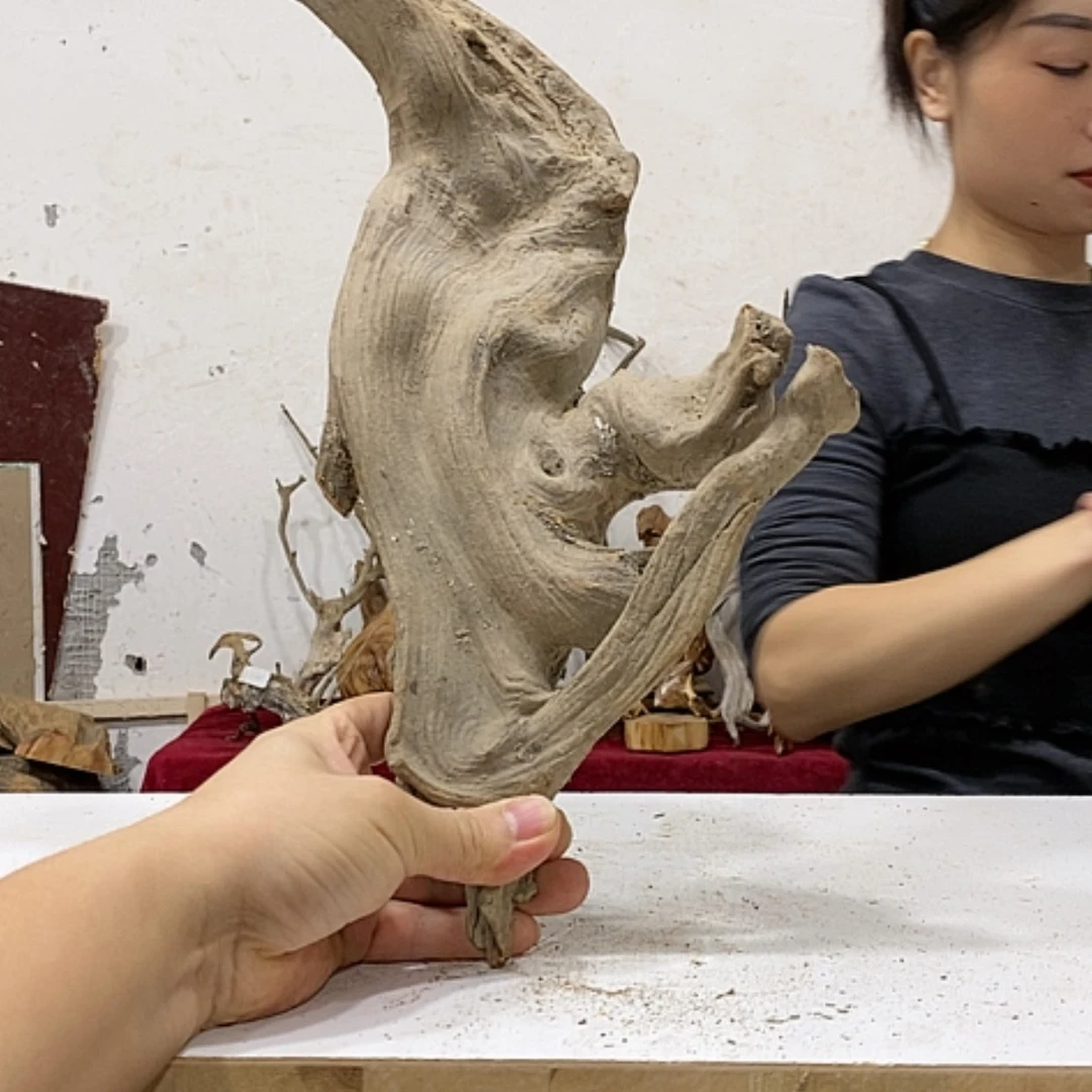 【闪购商品】柏木小*倩我们都是好孩子