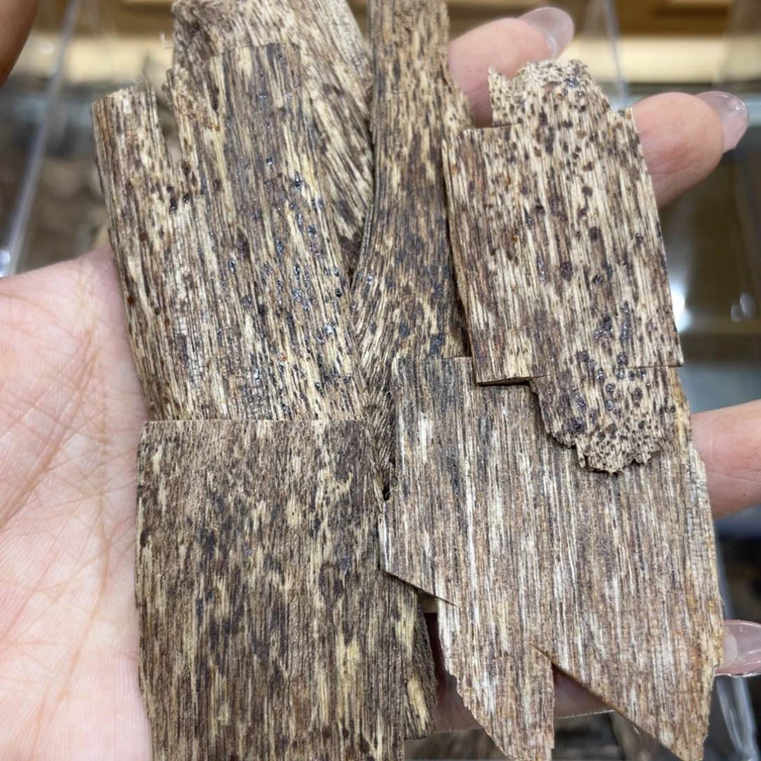 香榧木海南尖峰岭排油老料12g
