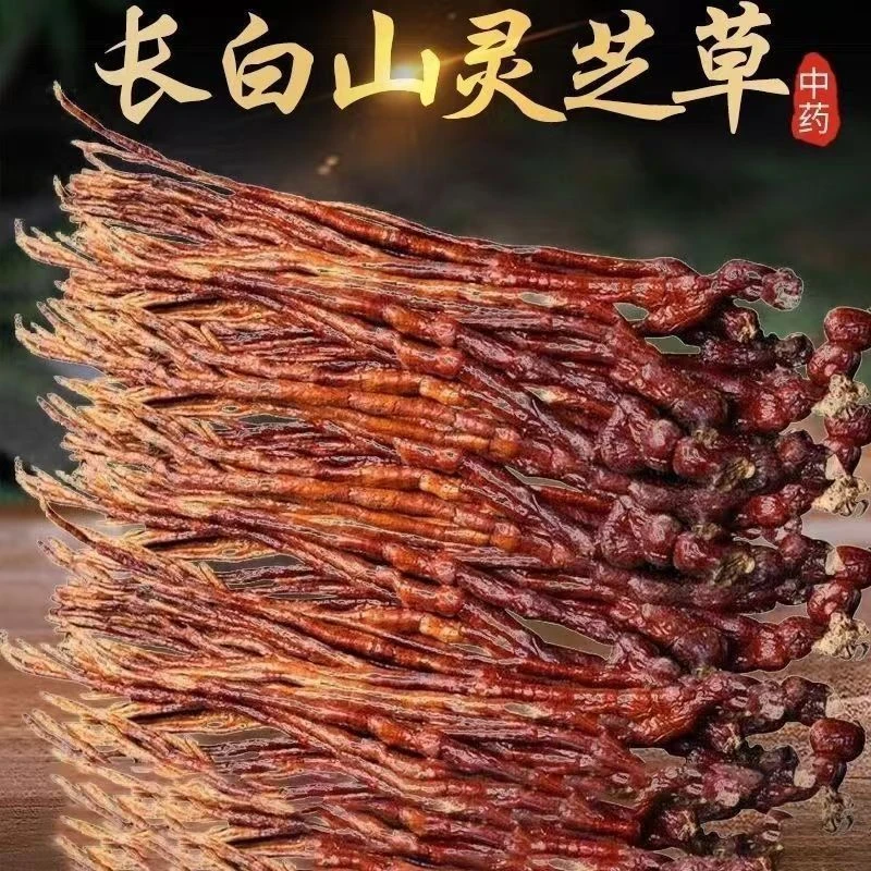 灵芝草正宗灵芝草长白山特产整枝鹿角灵芝泡水泡酒赤灵芝深山