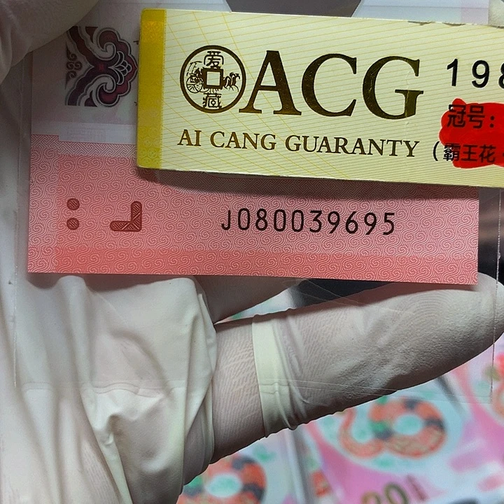 一张一张一张一张一张一张