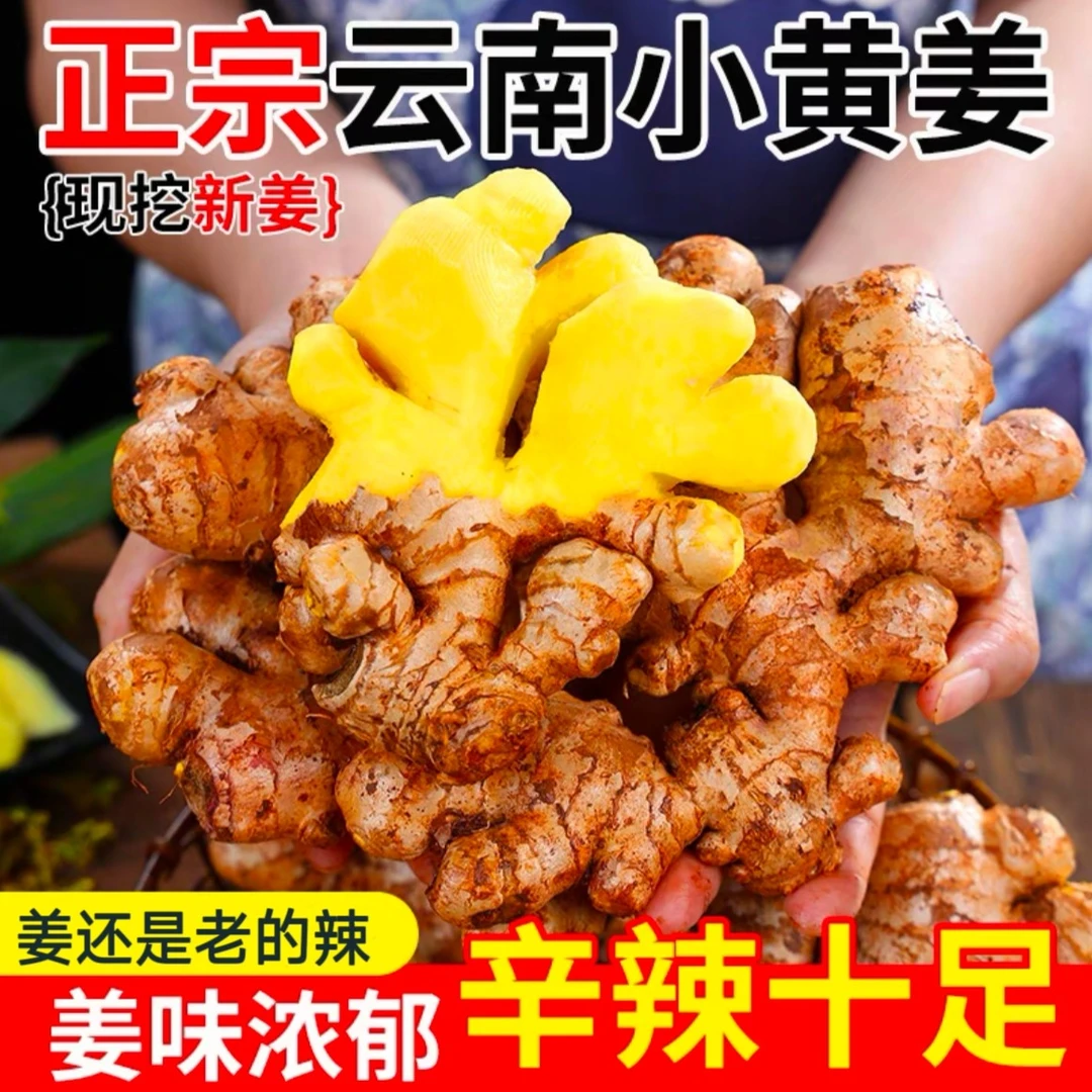 云南小黄姜老姜生姜新鲜黄姜子姜嫩姜鲜姜小黄姜