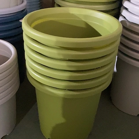树脂四季7号果绿无托6个微瑕