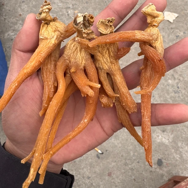 中缅农品-全枝高丽参(龙抓参)
