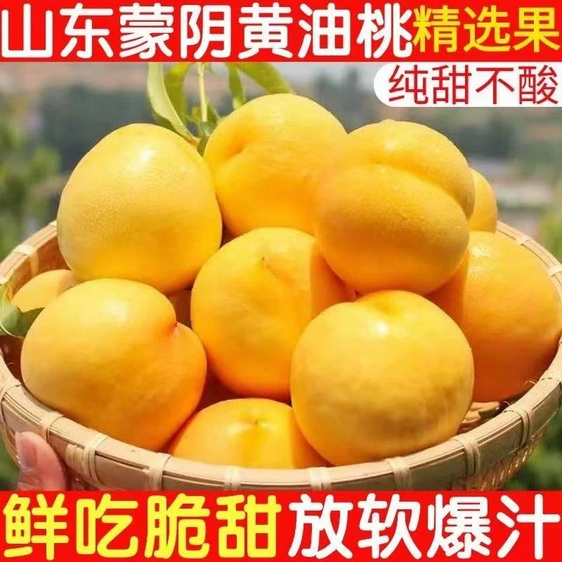 正宗蒙阴蜜桃黄油桃现摘脆甜软甜桃子油桃露天应季水果产地直发