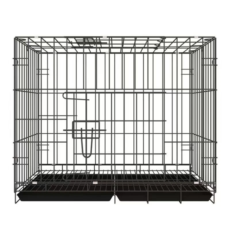 纯种元宝鸽笼特大型鸽子公母笼肉鸽观赏宠物鸽家养养殖笼