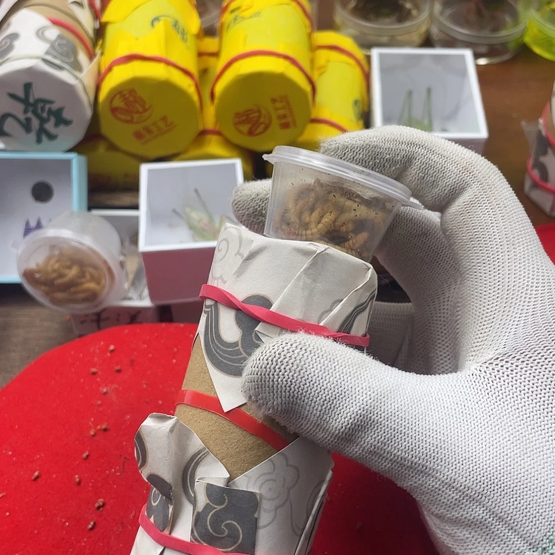 李***多蟋蟀新的一年希望自己能有个好的开始吧