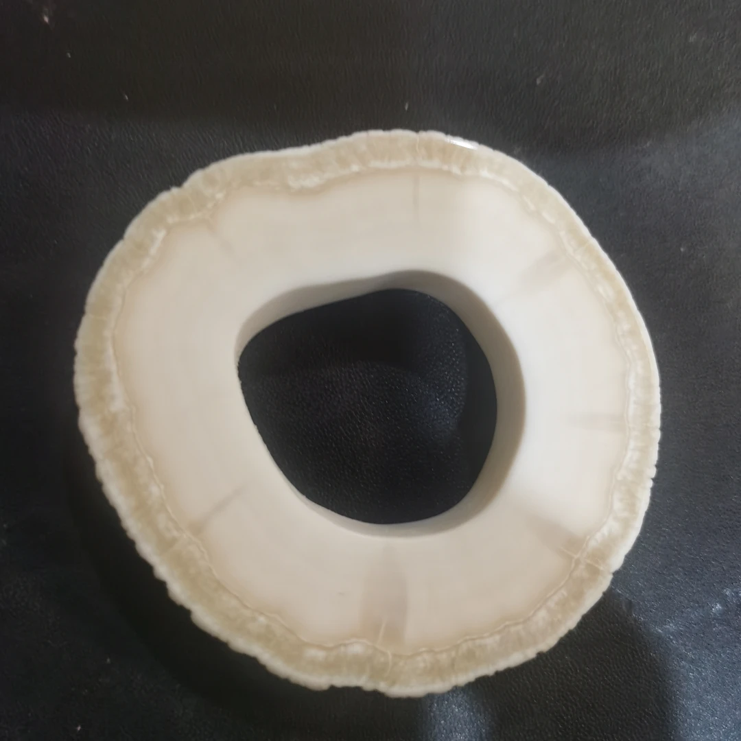 猛犸猛犸独饼子WT218