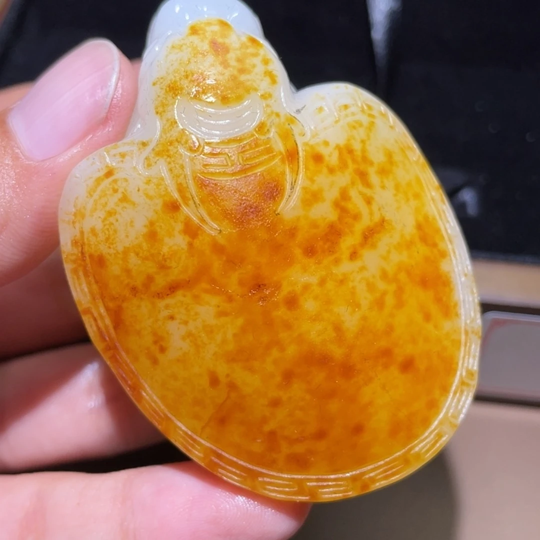 和田玉颈饰未镶嵌Y