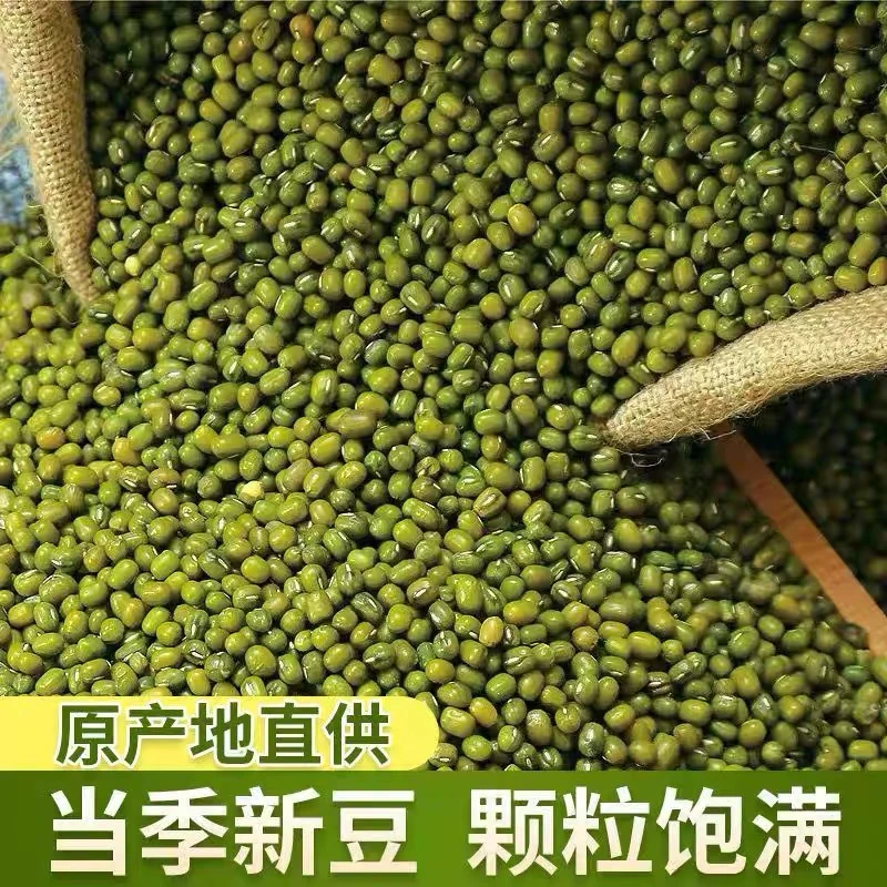 云南薄皮绿豆汤绿豆粥可发芽笨绿豆批发颗粒农家绿豆食用煲粥