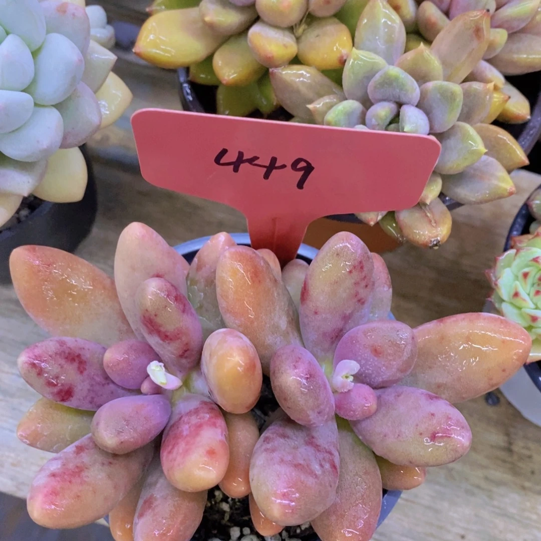 清货专场，满5宋1了