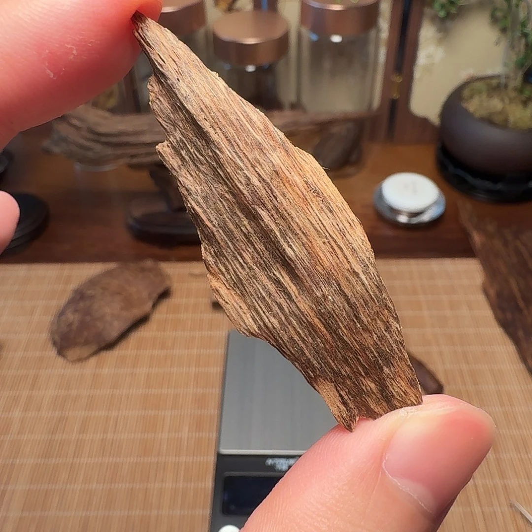沉香1.63g达拉干瓜子