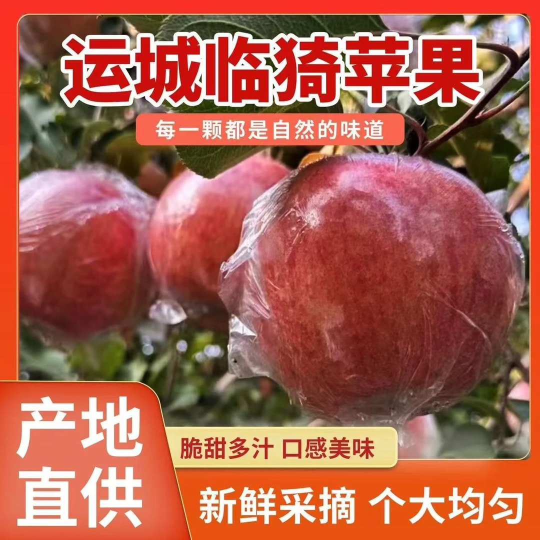 【自家果园十斤装】冰糖心丑苹果坡上红富士苹果脆甜多汁现摘现发商品图