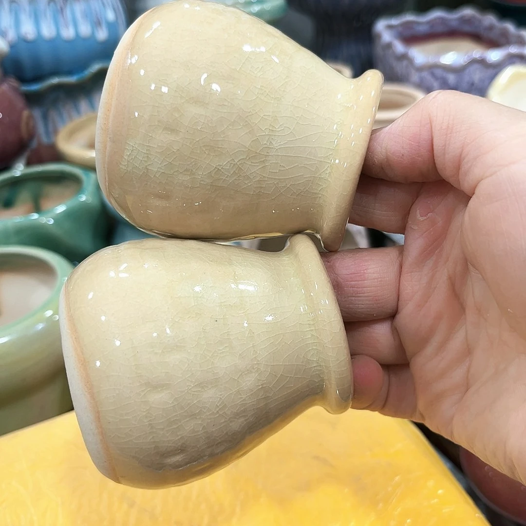 花盆花盆花盆花盆花盆花盆花盆