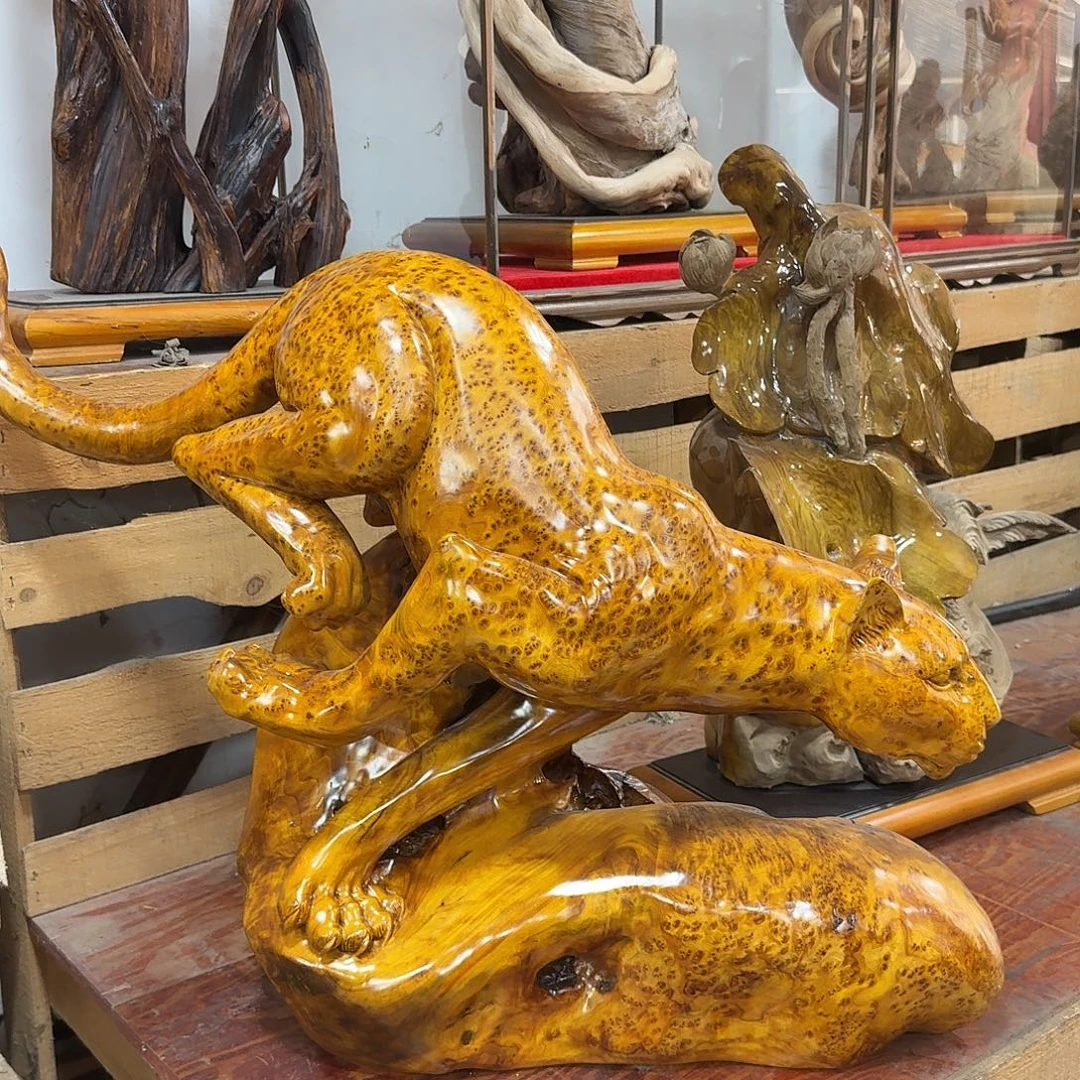 香杉木缅甸杉木瘤一路豹发