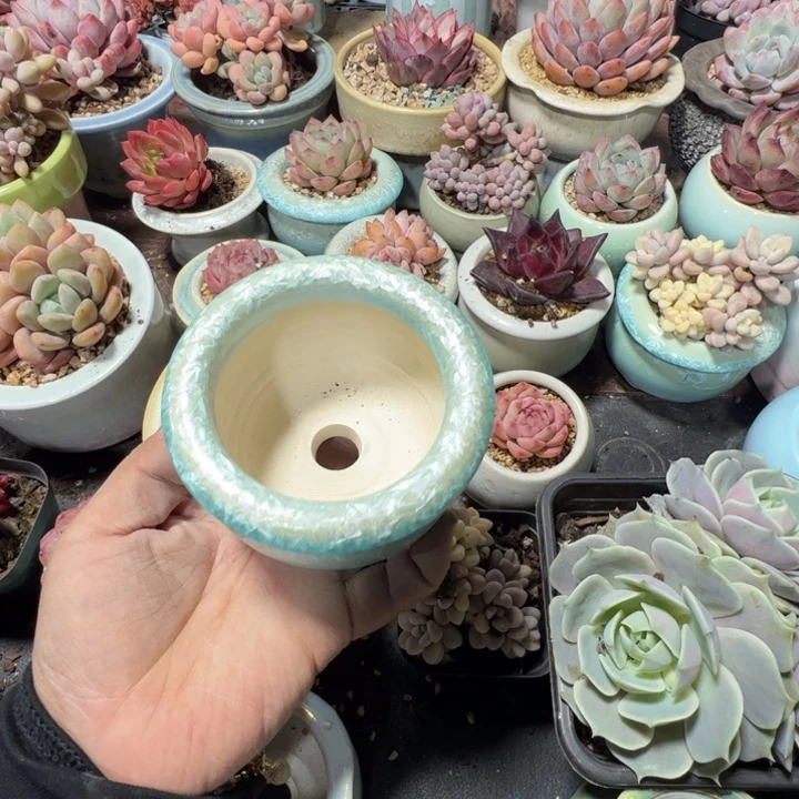 特价花盆 满50发货 内口6