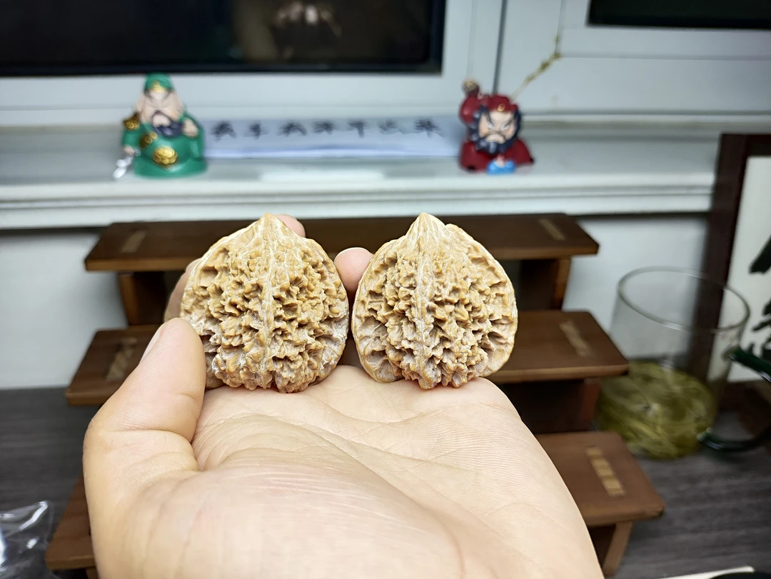 43  山地 老树 满天星   不沾药 强迫症勿扰