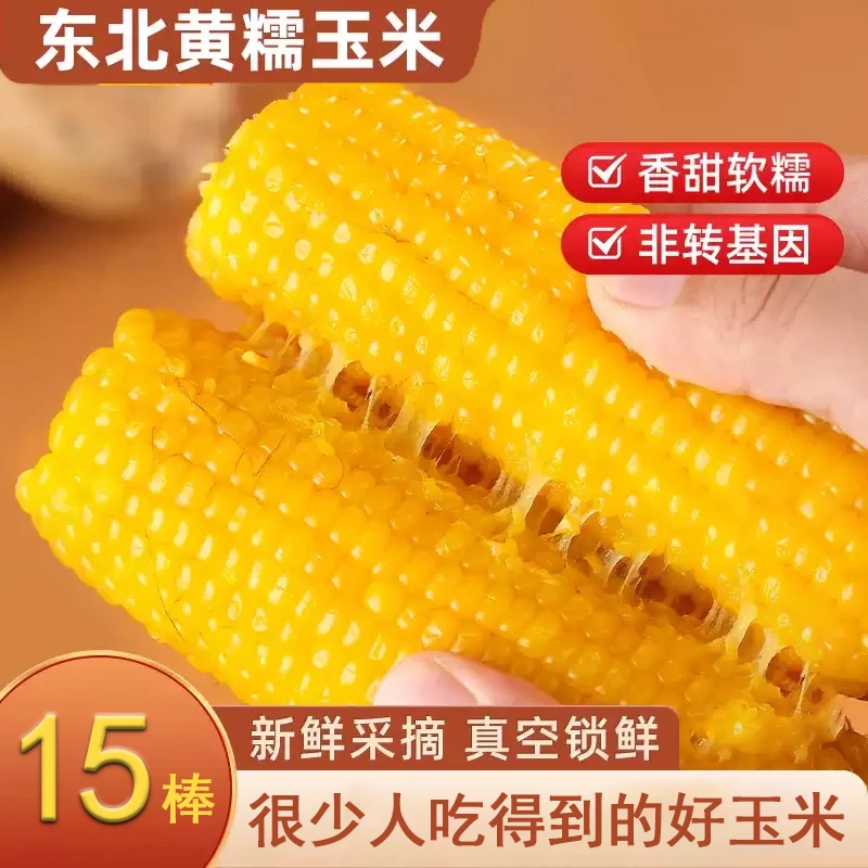 【一箱15根 8斤左右】试吃4根 东北头茬黄糯玉米香甜软糯真空锁鲜