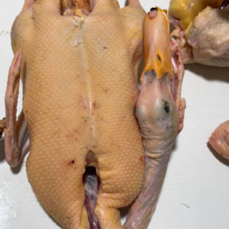 益林百家农养鸭（直播间实物为准）