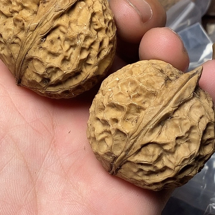 文玩核桃把件云南铁核桃7