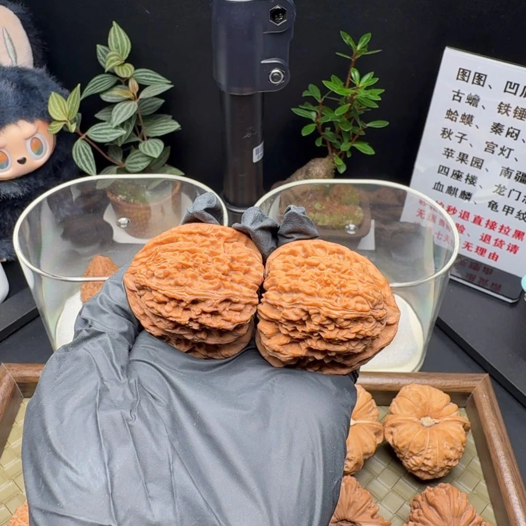 慢***拍吊坠龙脊菩提全家福三角疆42全品