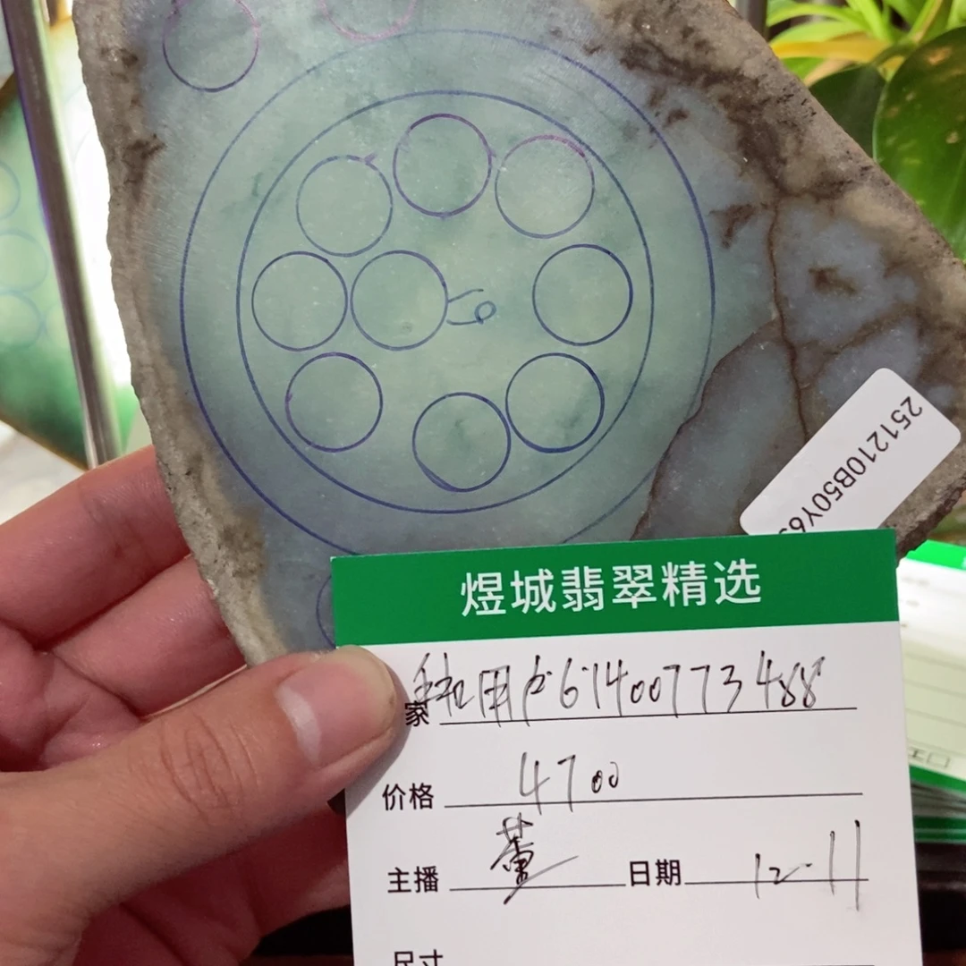 翡翠未镶嵌手镯天然缅甸翡翠a货片料