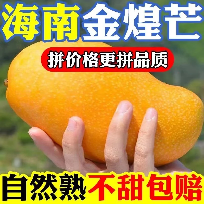 y【爆甜】正宗海南金煌芒果新鲜水果孕妇应季当季一整箱zcx