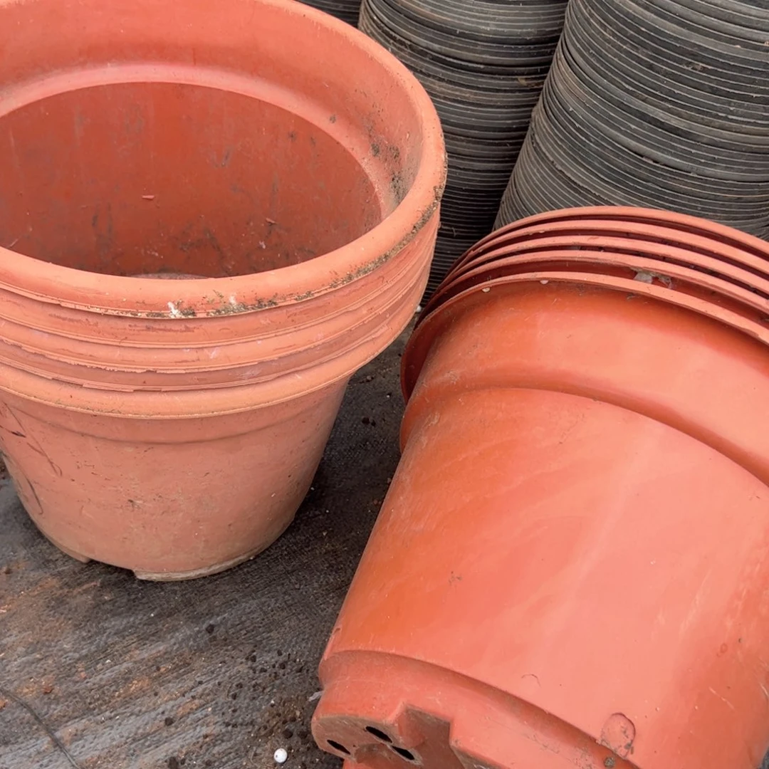 红圆盆32口径25高 5个