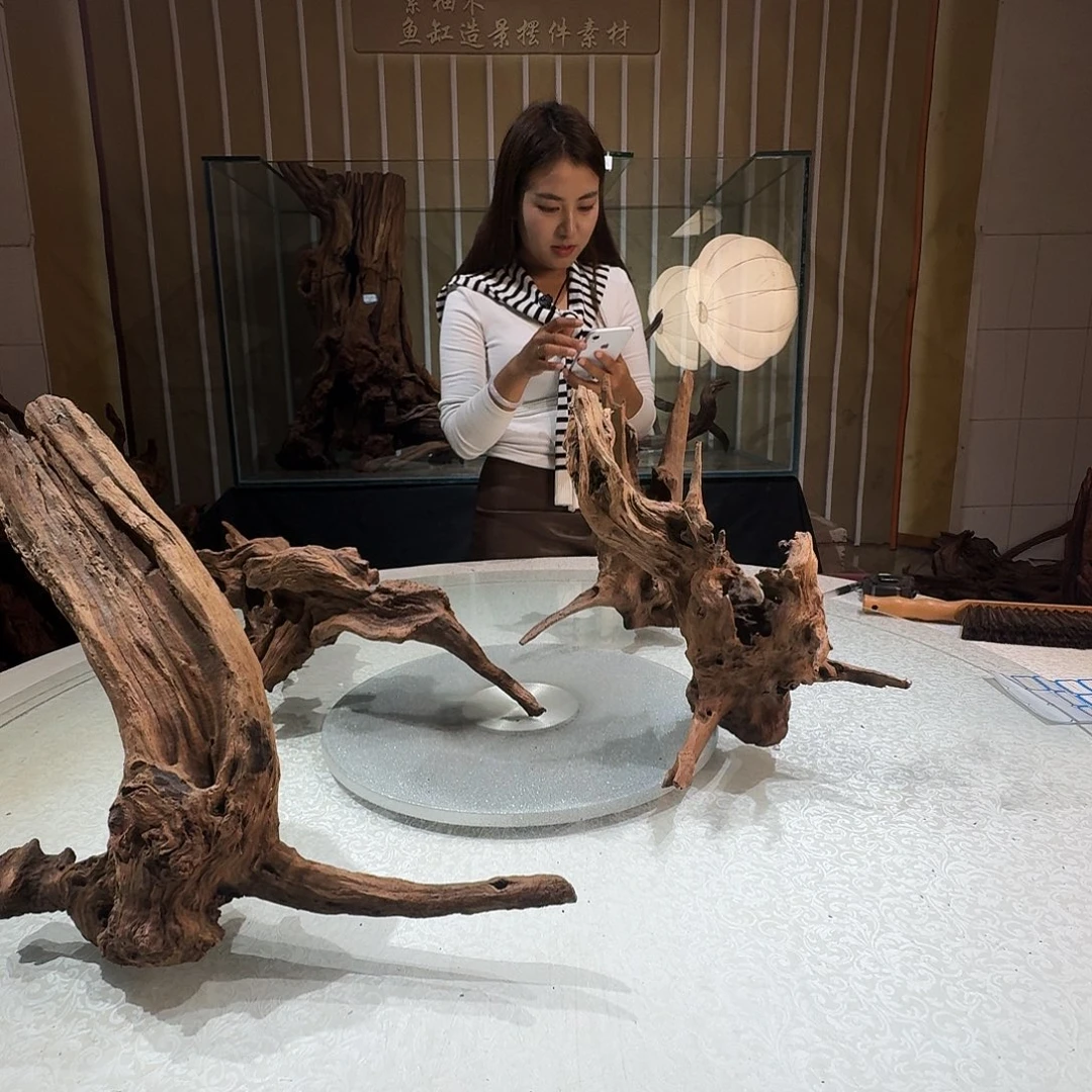 玩***料一物一拍鱼缸造景