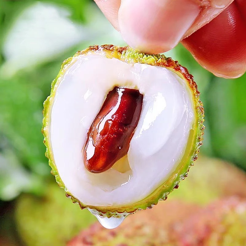 【现摘现发】海南妃子笑荔枝肉厚香甜多汁单果18g+顺丰JD冷链