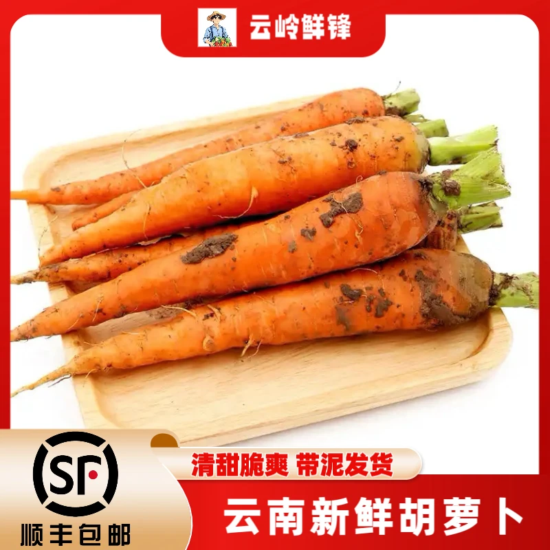 顺丰包邮云南胡萝卜新鲜带泥脆甜萝卜当季蔬菜可榨汁生食凉拌沙拉