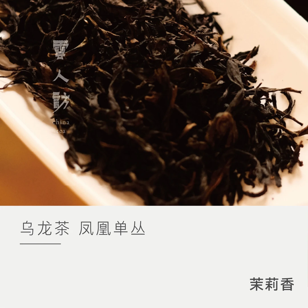 【云人访】茉莉香凤凰单丛 温柔试探|茶叶乌龙茶|2022年