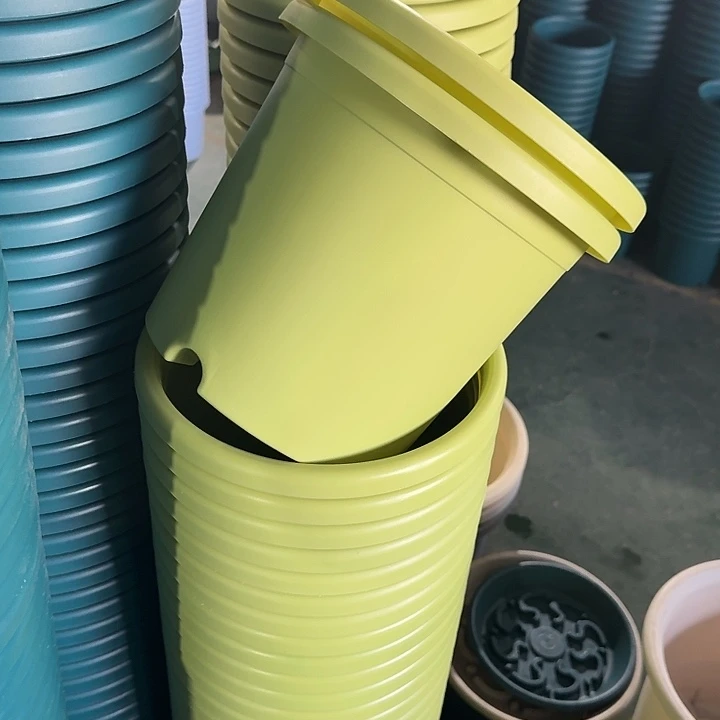 四季4#口径25果绿8个无托