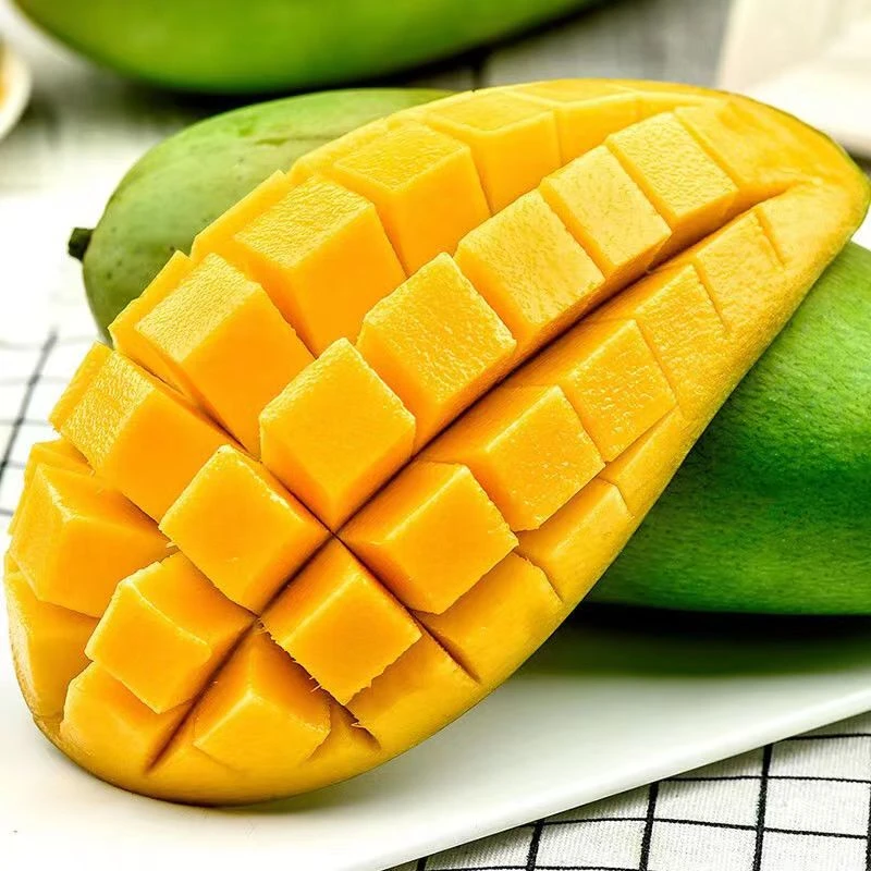 XD12【放软食用】四川攀枝花凯特芒新鲜采摘当季水果带箱9-10斤