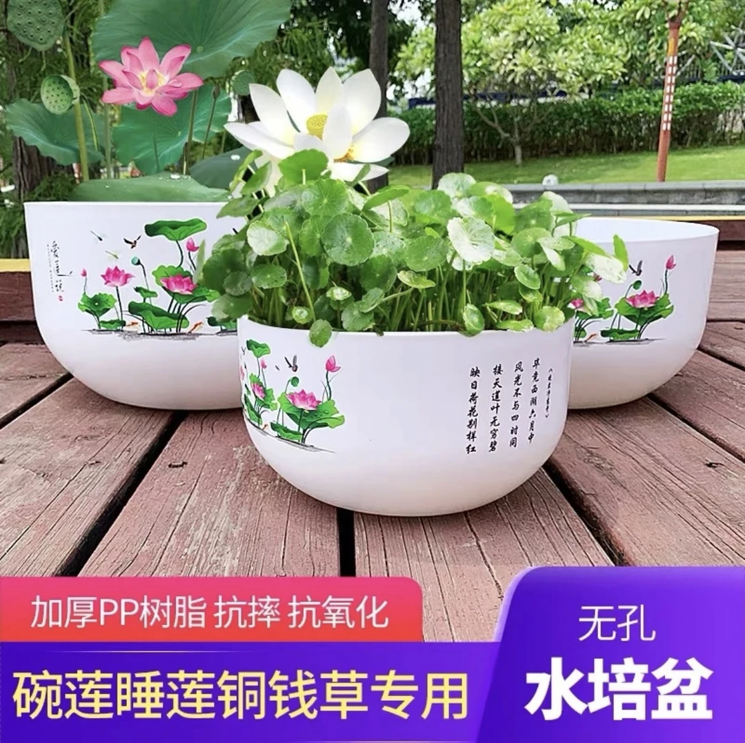 加厚荷花盆仿瓷睡莲花盆中国风水培盆塑料无孔树脂碗莲耐用大号盆