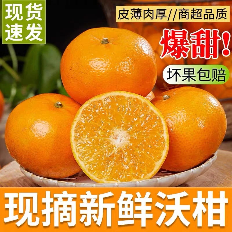 【爱心助农】云南沃柑斤橘子新鲜水果当季沙糖蜜橘砂糖柑橘包邮采摘