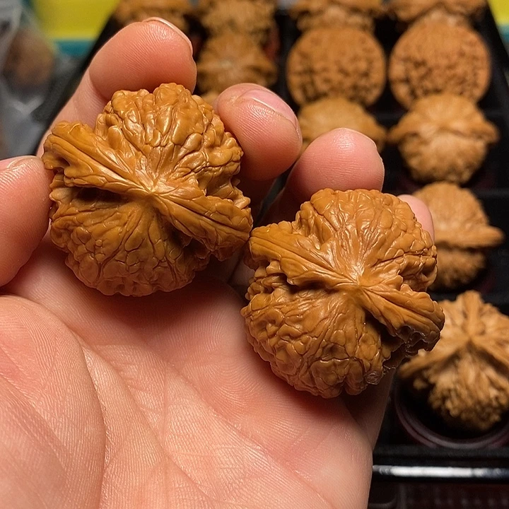 文玩核桃把件39加核鼎