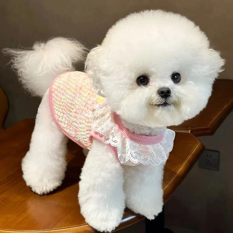 秋季新款宠物背心可牵引狗狗衣服泰迪比熊小型犬猫猫咪约克夏TTT