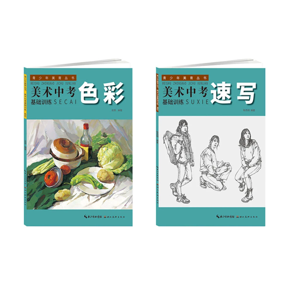 美术中考基础训练 -色彩 速写  2本套