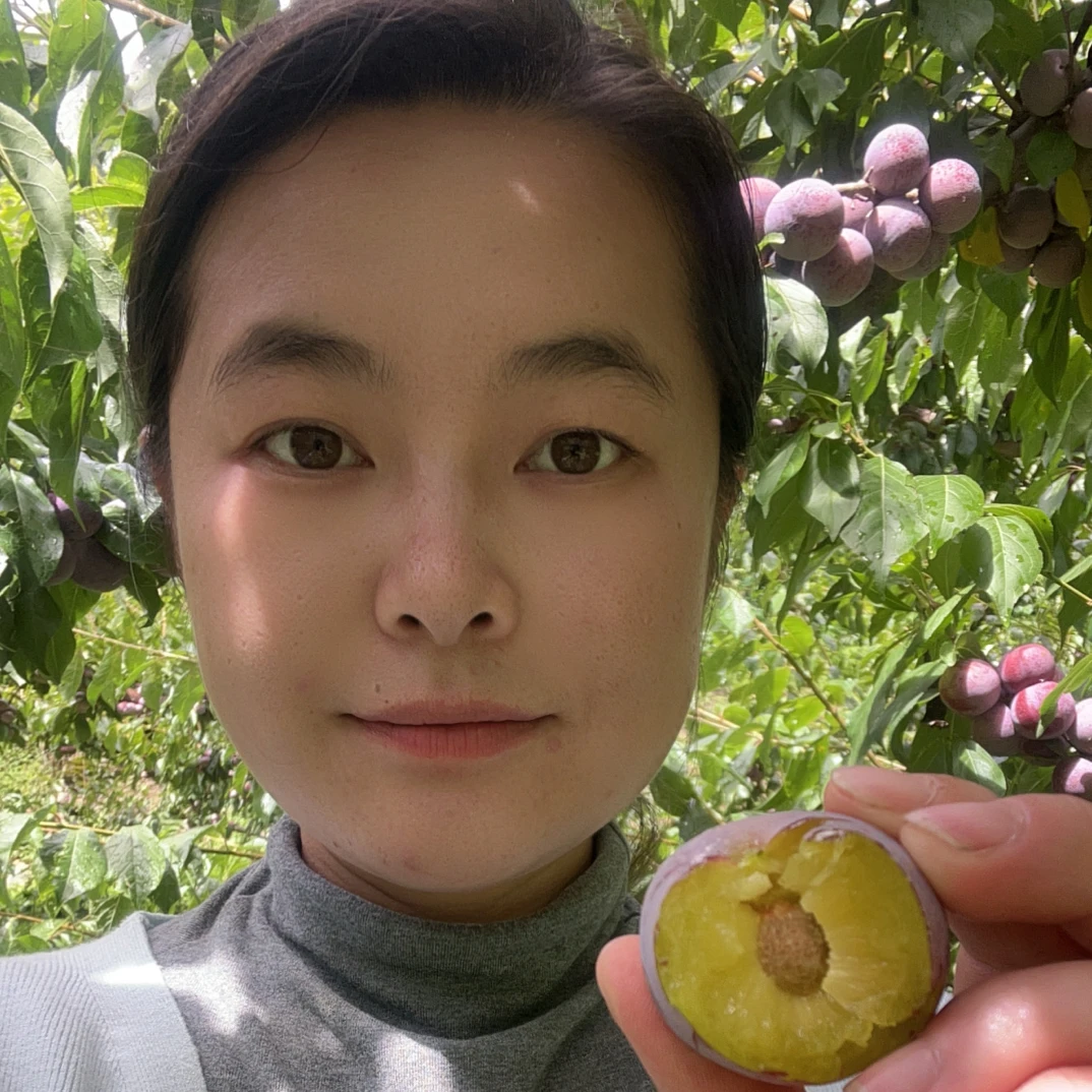 四川理县高山红脆李顺丰包邮