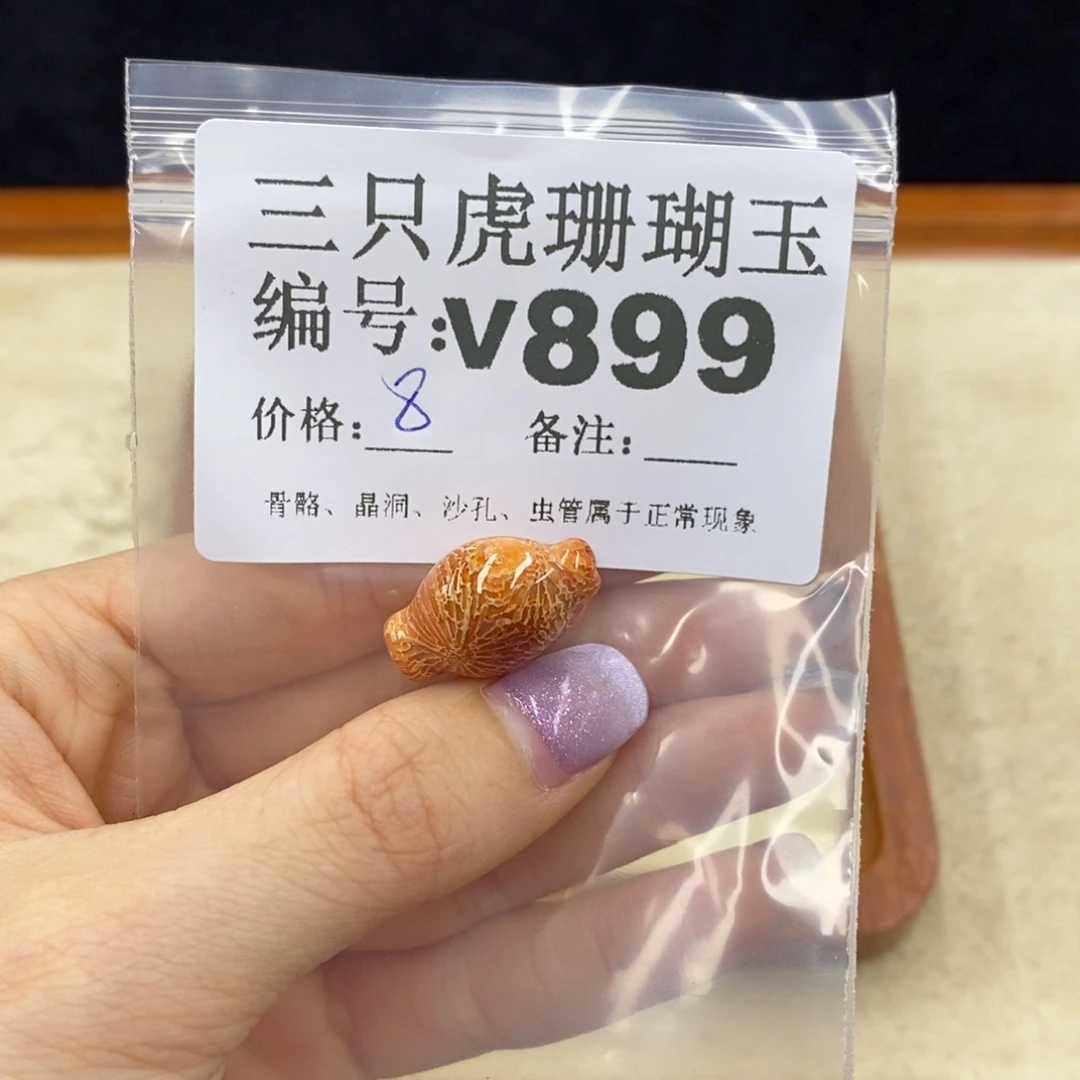 硅化珊瑚（珊瑚玉）未镶嵌1灿*