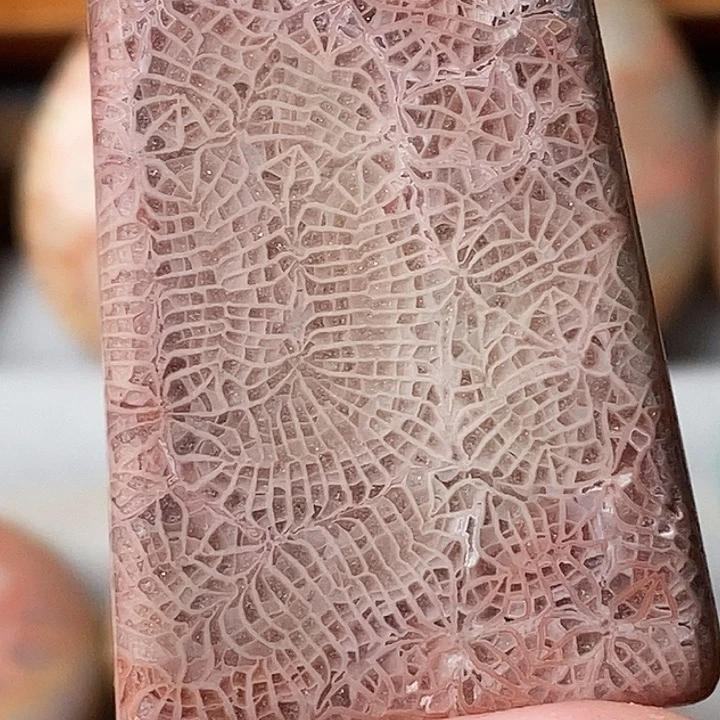 香***王硅化玉未镶嵌颈饰